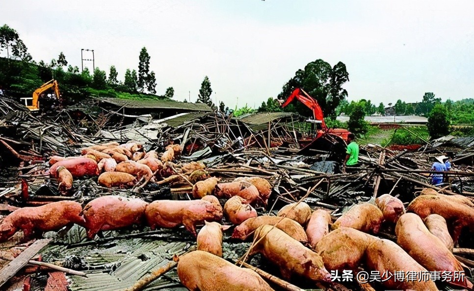 养殖场强拆案，行政机关不服一审强拆违法判决，二审维持原判